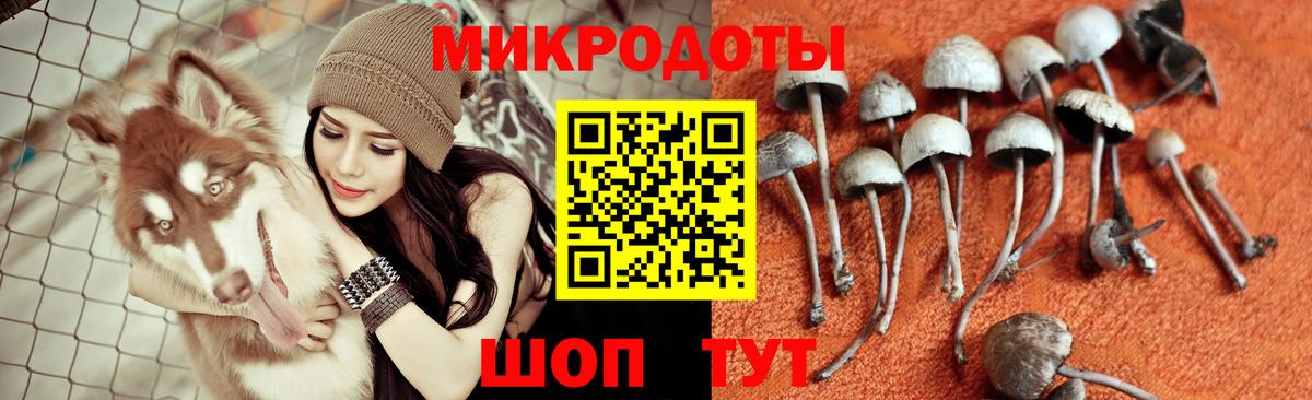 Саранск  закладки  Вход с VPN  Псилоцибиновые грибы прущие грибы 
